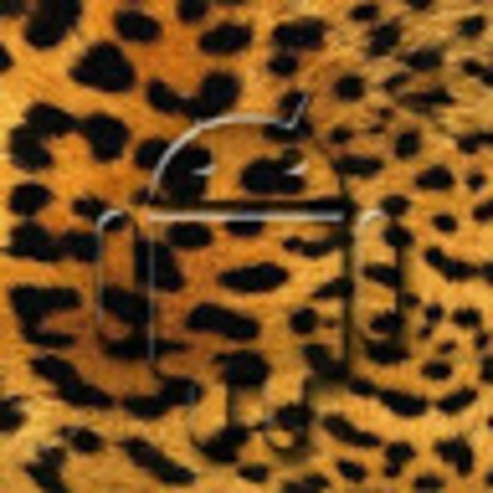 Meet your Posher, Lucy